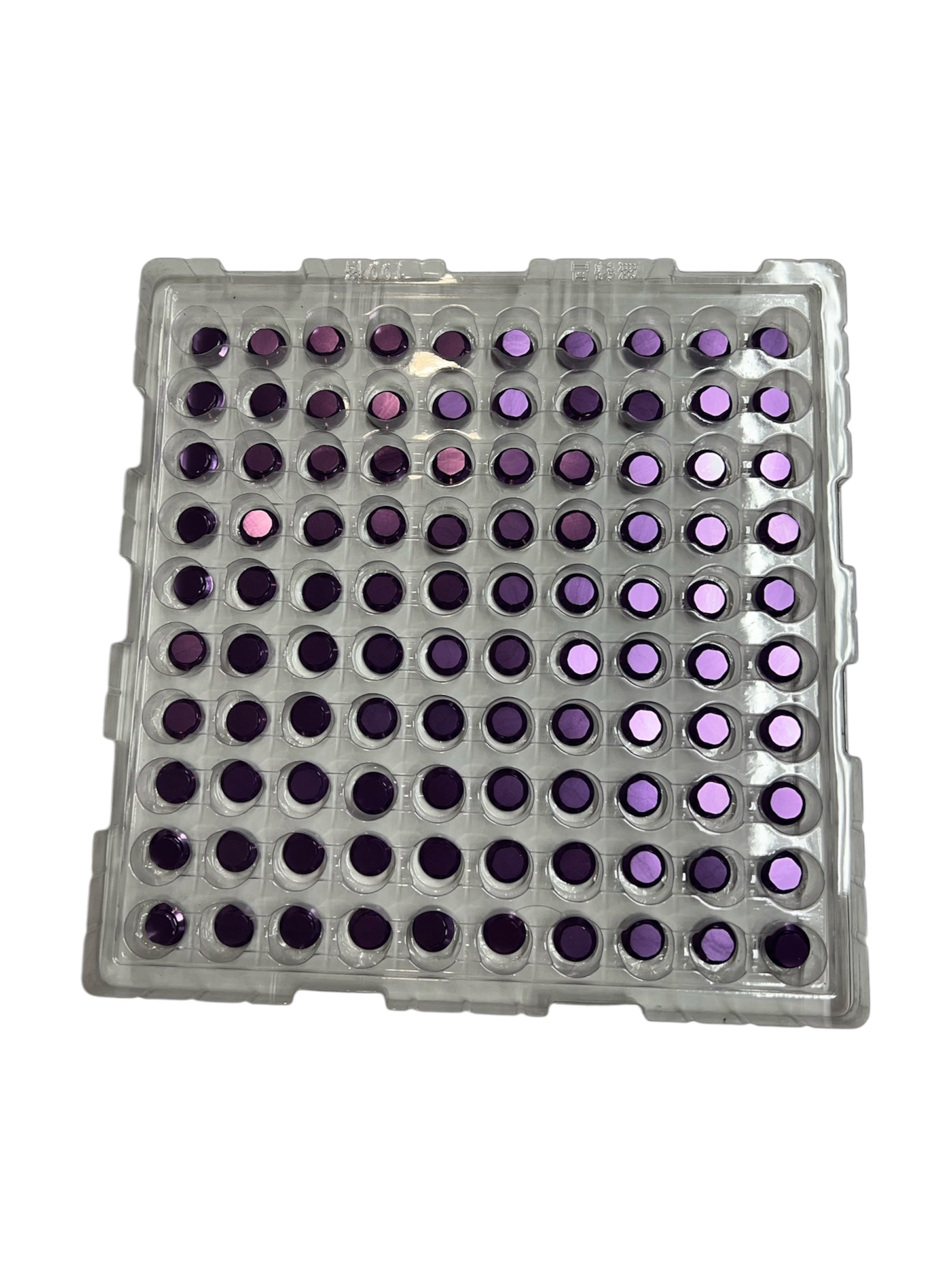 25 sets Royal purple Skatenutz Whole sale